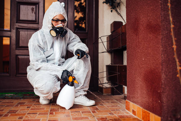 Reliable Cockroach Control contractor in Pleasant Grove, UT by Nex Pest Control